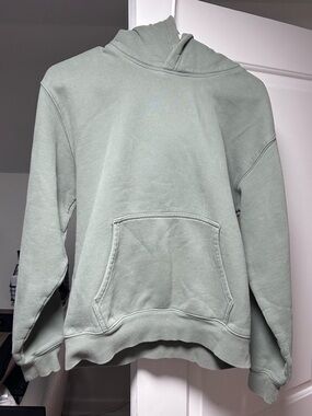 Aritzia Cozy Fleece Perfect Hoodie